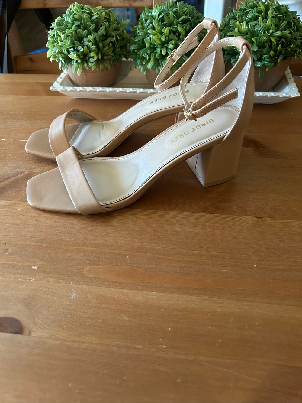 Birdy Grey Size 9 Women's Nude Block Heels